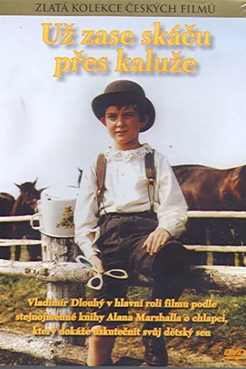 Syn zaměstnance proslulého hřebčína sní o tom, že i on bude umět krotit ušlechtilé jezdecké koně.