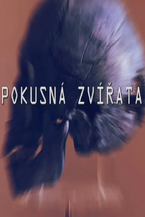Pokusná zvířata