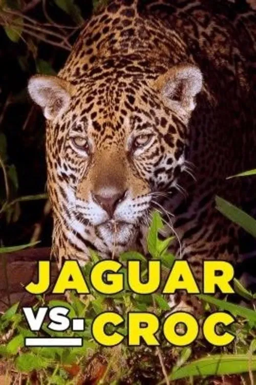 Jaguár vs. krokodýl. Dlouholetý fotograf Steve Winter a kameraman Bertie Gregory zachycují životy jaguárů v brazilském Pantanalu. Matka učí mláďata jak přežít, zatímco samec se vrhá do vody po obrovském kajmanovi.