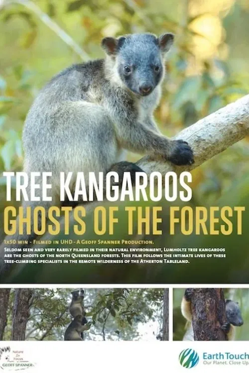 Stromoví klokani: Duchové lesa. Stromoví klokani, jedni z nejpozoruhodnějších australských tvorů, jsou opravdovými duchy lesů severního Queenslandu. Při putování divočinou náhorní plošiny Atherton nahlédneme do pozoruhodného života těchto nepolapitelných specialistů na šplhání po stromech.