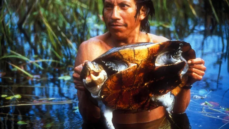 Amazonie