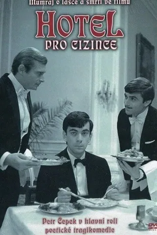 Hotel pro cizince