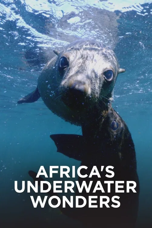 Podmořské divy Afriky