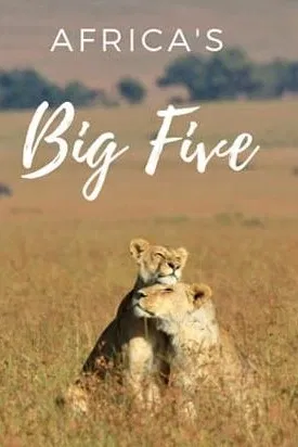 Africká velká pětka