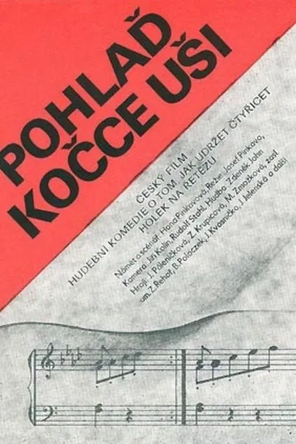 Pohlaď kočce uši