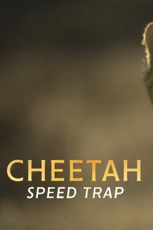 Gepard: Rychlost jako zbraň