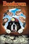 Beethoven 5