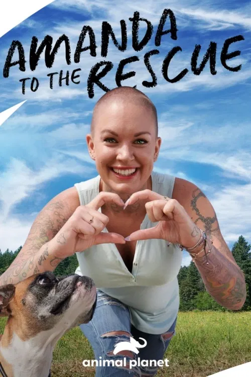 Čerstvá maminka čivava a jejích osm štěňátek jsou připraveni na nové domovy. Amanda se ujme štěněte buldoka s postižením končetin jménem Splat.