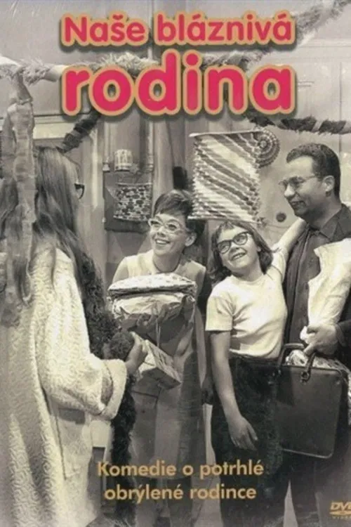 Komedie o potrhlé obrýlené rodince Solničkových.Dvanáctiletá Jana se vrací z nemocnice. Doma pozoruje změny a má obavy, že se její rodiče budou rozvádět. Ve skutečnosti ovšem očekávají dalšího potomka.Život dvanáctileté Jany je plný nečekaných úrazů. Po jednom návratu z nemocnice dívka zjistí, že se doma něco změnilo. Spolu se starší sestrou Zuzou usoudí, že se rodiče chtějí rozvést. Naštěstí je to právě naopak: Solničkovi čekají další dítě!V rodině dvanáctileté Jany Solničkové všichni nosí brýle a všichni jsou také pěkně potrhlí. Tatínek Luděk, maminka, babička Jana i její starší sestra Zuza. Jana má ještě tu smůlu, že každou chvíli leží s nějakým úrazem v nemocnici, kam ji všichni chodí navštěvovat. Po návratu domů si však Jana všimne, že mezi rodiči něco neklape, tatínek má v pracovně nový gauč a z toho Jana usoudí, že rodině hrozí rozvrat. Nesmírně se bojí, a proto se rozhodnou se Zuzou této hrozbě čelit. Dívky zjistí, že se maminka po práci setkala s nějakým neznámým mužem. Všechno je však ve skutečnos