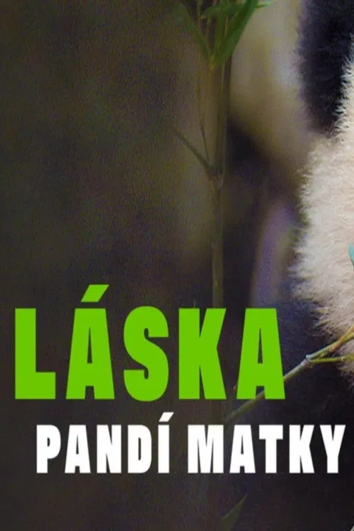 V japonské Shirahamě se s největší pečlivostí starají o pandí mláďata a jejich matky. A právě tady prožil téměř celý svůj život i slavný táta mnoha svěřenců chovu jménem Eimei, který se dožil neuvěřitelných 32 let. Japonský dokument