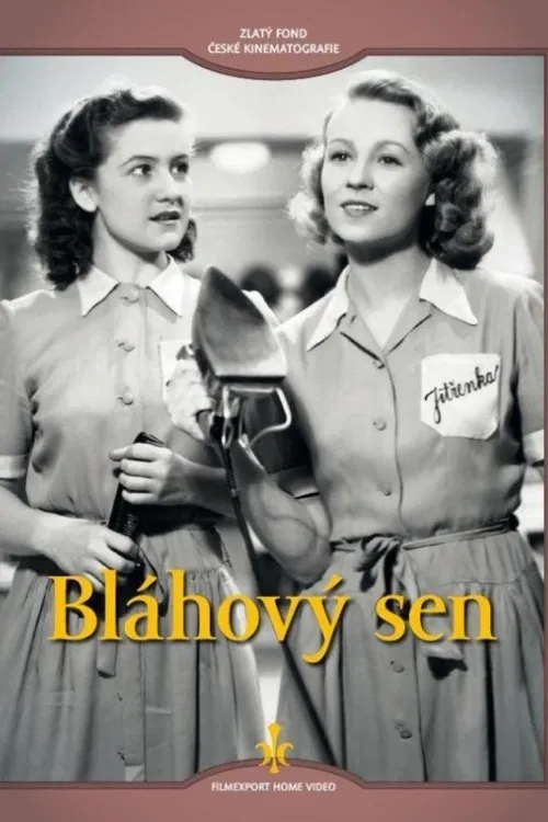 Dívčí touha po divadelní a filmové slávě, nepodepřená skutečným nadáním, se může stát nebezpečnou.Kadeřnice Žofka se náhodně proslaví na stránkách bulvárního tisku. Na její krátkodobé popularitě se chce přiživit i výrobce operetních filmů a obsadí ji do velké role. Nezkušená dívka pozná, že představa snadné cesty k filmové slávě byl jen bláhový sen.Filmy J. A. Holmana (zejména Minulost Jany Kosinové a Modrý závoj) se od běžné produkce přece jen poněkud odlišovaly určitou razantní osobitostí a modernějším stylem vyprávění, který se inspiroval zejména americkými filmy a kterému se tehdy říkalo kosmopolitní. Mezi zaměstnankyněmi velkého kadeřnického salónu najdeme debutující Antonii Hegerlíkovou.Československé drama (1943).Hrají: Jaroslav Marvan, Zdeňka Baldová, Nataša Gollová, Jaromír Spal, Otto Rubík, Adina Mandlová, Eduard Kohout, František Vnouček, Vítězslav Vejražka a další.Režie: J. A. Holman (102min)
