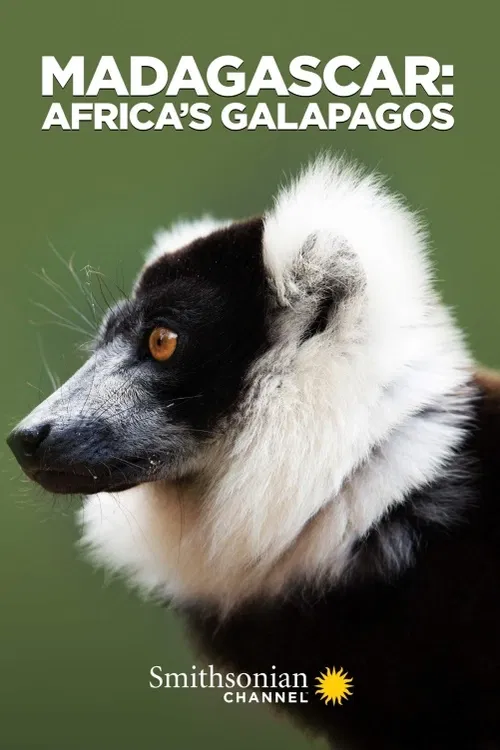 Jižní Afrika, dokument, 2019