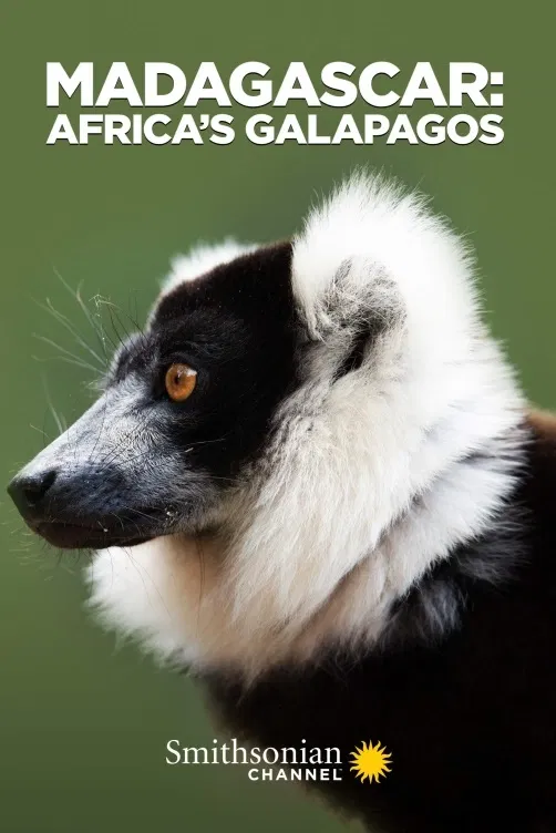 Madagaskar: Africké Galapágy