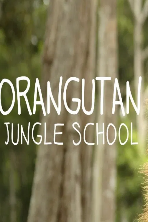 Orangutaní škola v džungli