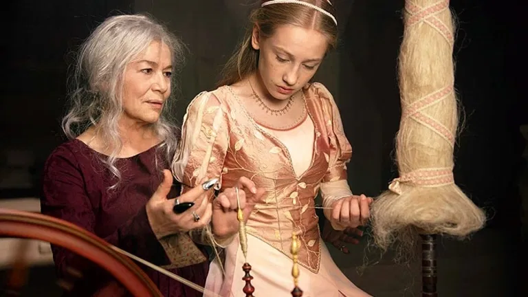 Rozprávky bratov Grimmovcov: Šípková Ruženka