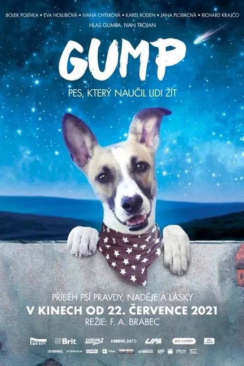 Příběh psí pravdy, lásky a naděje. „Jsem Gump a byl jsem toulavej pes...