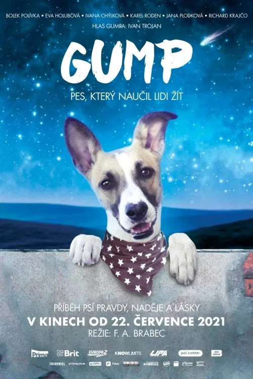 Gump - pes, který naučil lidi žít