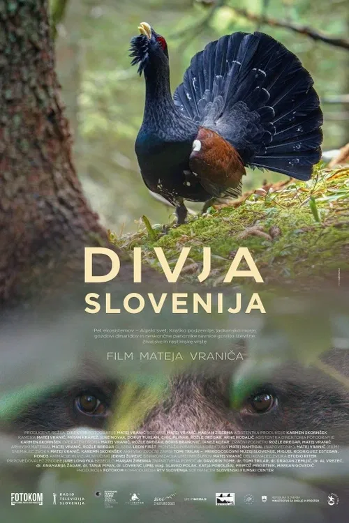 Malý stát v srdci Evropy, kde rozmanitost geologických podmínek vedla ke vzniku neobyčejného druhového bohatství. Slovinský koprodukční dokument