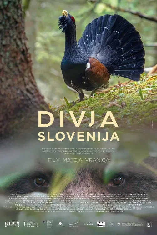 Divoká příroda Slovinska