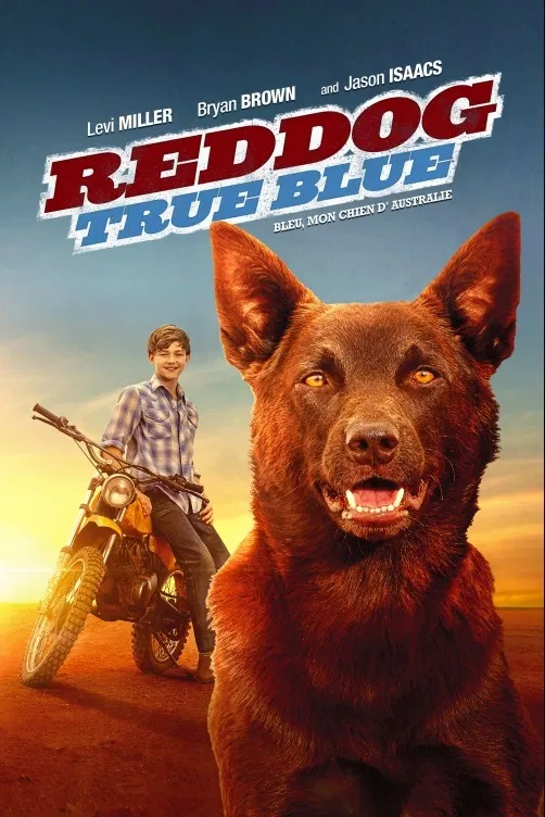 Red Dog 2