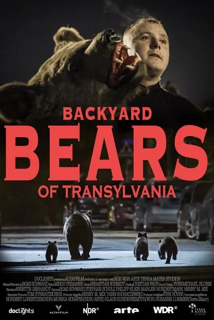 Transylvánští medvědi domácí