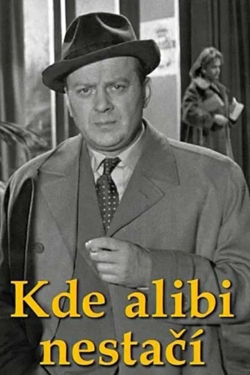 Film z roku 1960 vypráví o vyšetřování skupiny, která zneužívá nemocné pro zisk tím, že jim jako lék proti srdeční chorobě prodává obyčejný B-komplex. Kriminalisté Tůma a Líbal následují stopy, které je vedou k různým podezřelým s alibi. Musí odhalit, kdo z nich je skutečný pachatel.