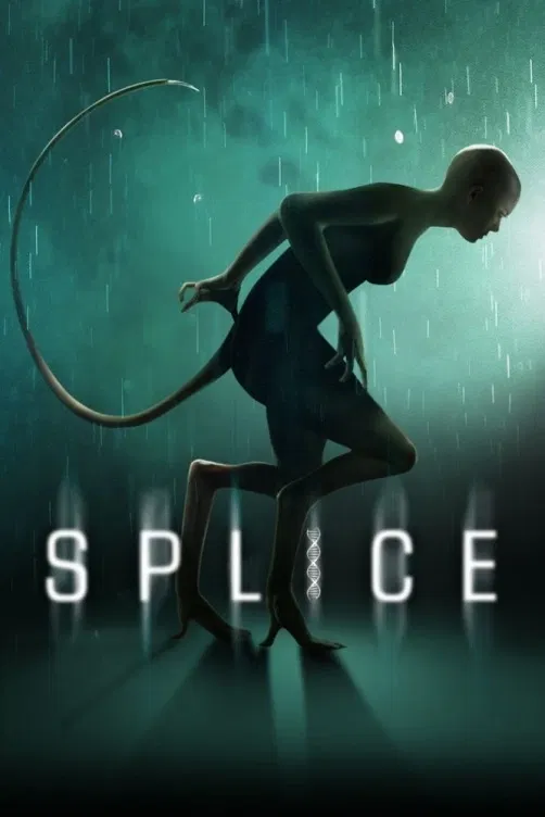 Spletenec