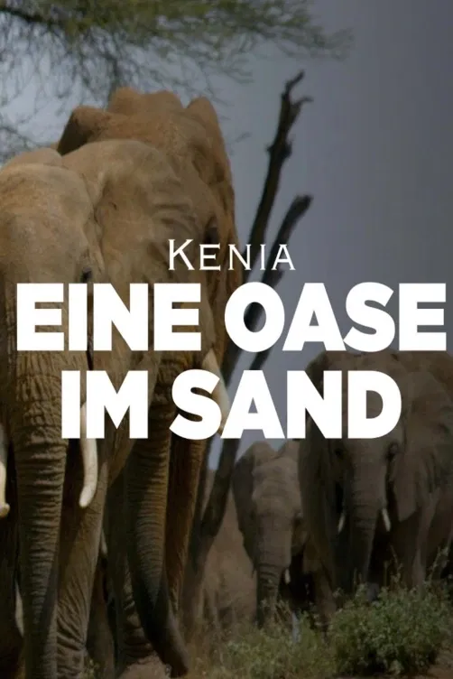 Bylo nebylo v národním parku Tsavo
