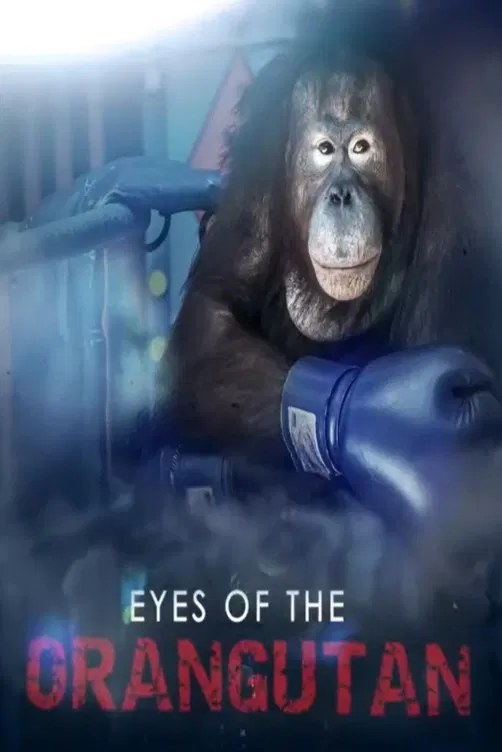 Oči orangutana