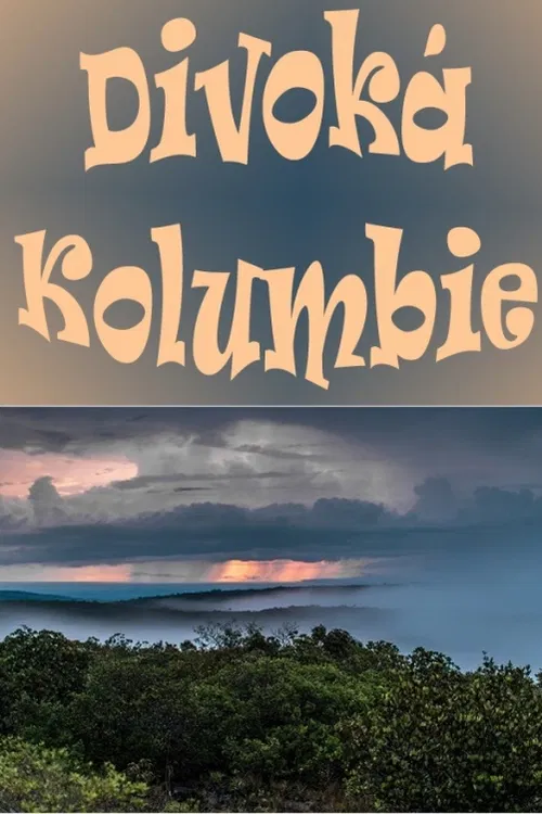 Kolumbijská krajina je obrovská a velmi rozmanitá. Mokřady lemují zelenající se deštné pralesy, zatímco vrcholky hor jsou pokryté sněhem.