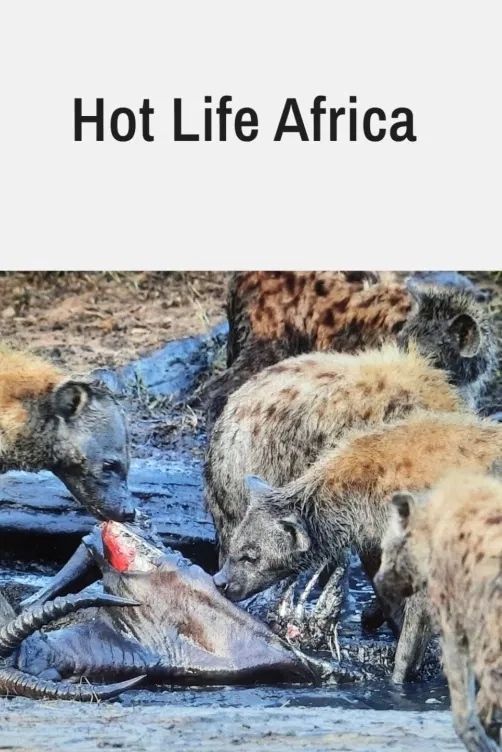 Život ve vedrech: Afrika