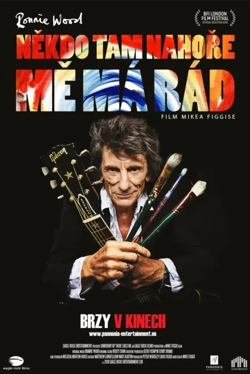 Ronnie Wood: Někdo tam nahoře mě má rád, Příběhy světové hudby