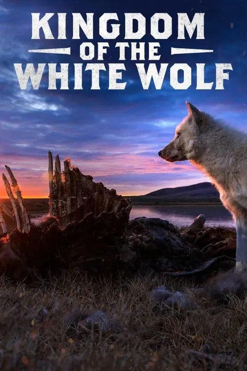 Spolupracovník National Geographic, fotograf a biolog Ronan Donovan by se v polární oblasti rád setkal s legendárními bílými arktickými vlky. Jejich zvláštností je, že se nebojí lidí.