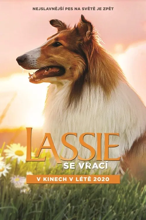 Nejslavnější pes na světě je zpět! Úžasný příběh nerozlučného přátelství chlapce a jeho dlouhosrsté kolie.