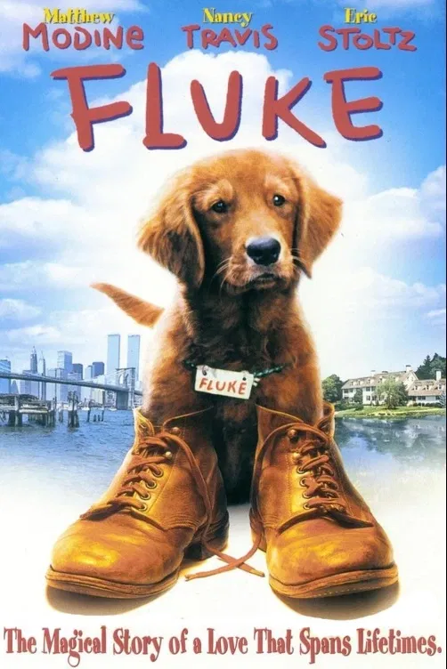 Psí život