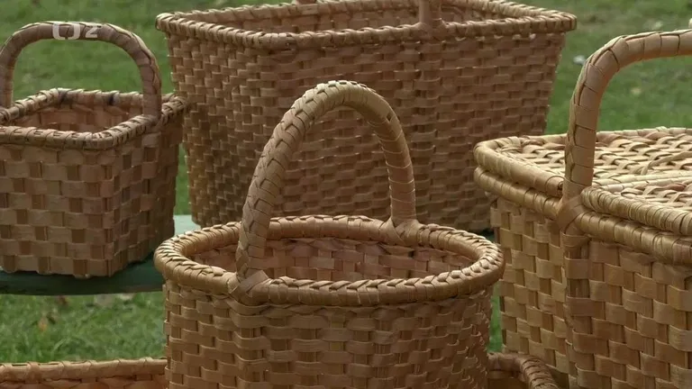 Krása z proutí