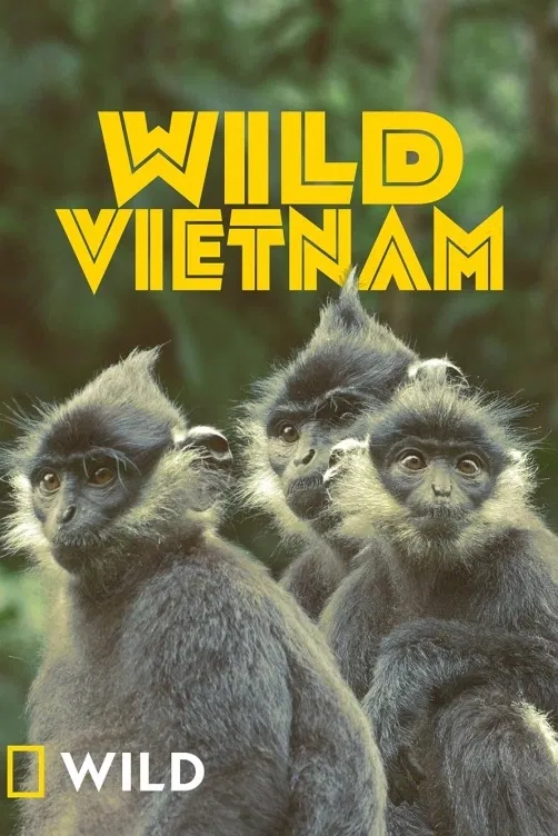 Divoký Vietnam